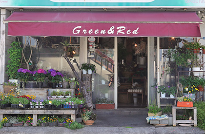 Flower shop Green&Red